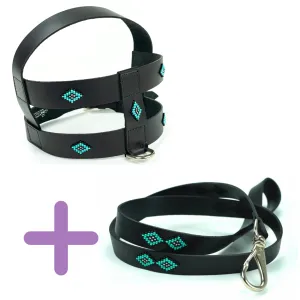 Sambboho Saint Barth Dog Harness & Leash Bundle