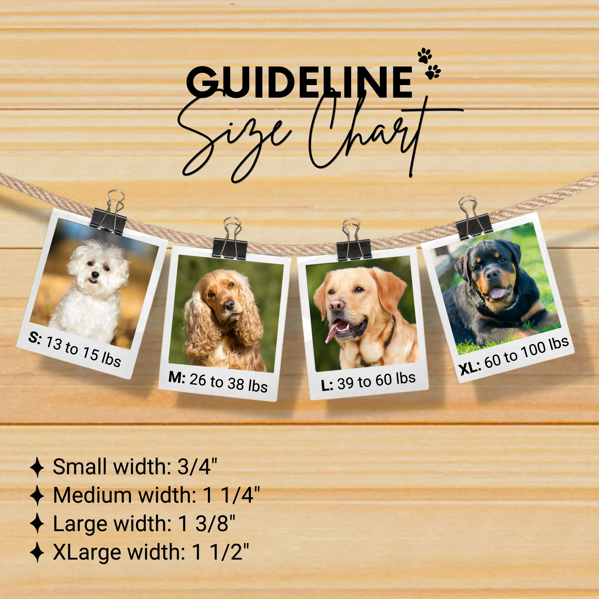 Sambboho Saint Barth Dog Harness & Leash Bundle