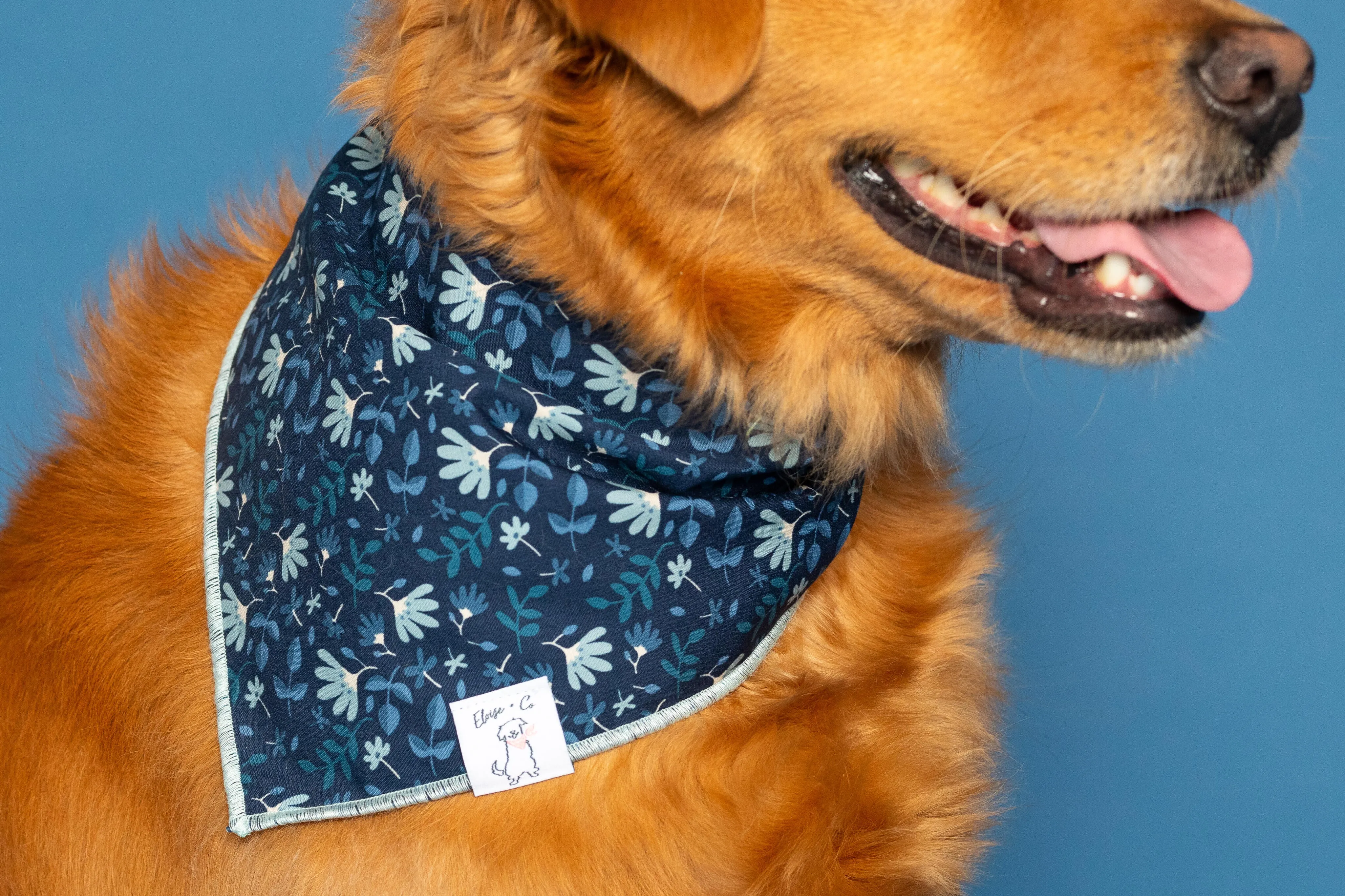 Sapphire Juliette Bandana
