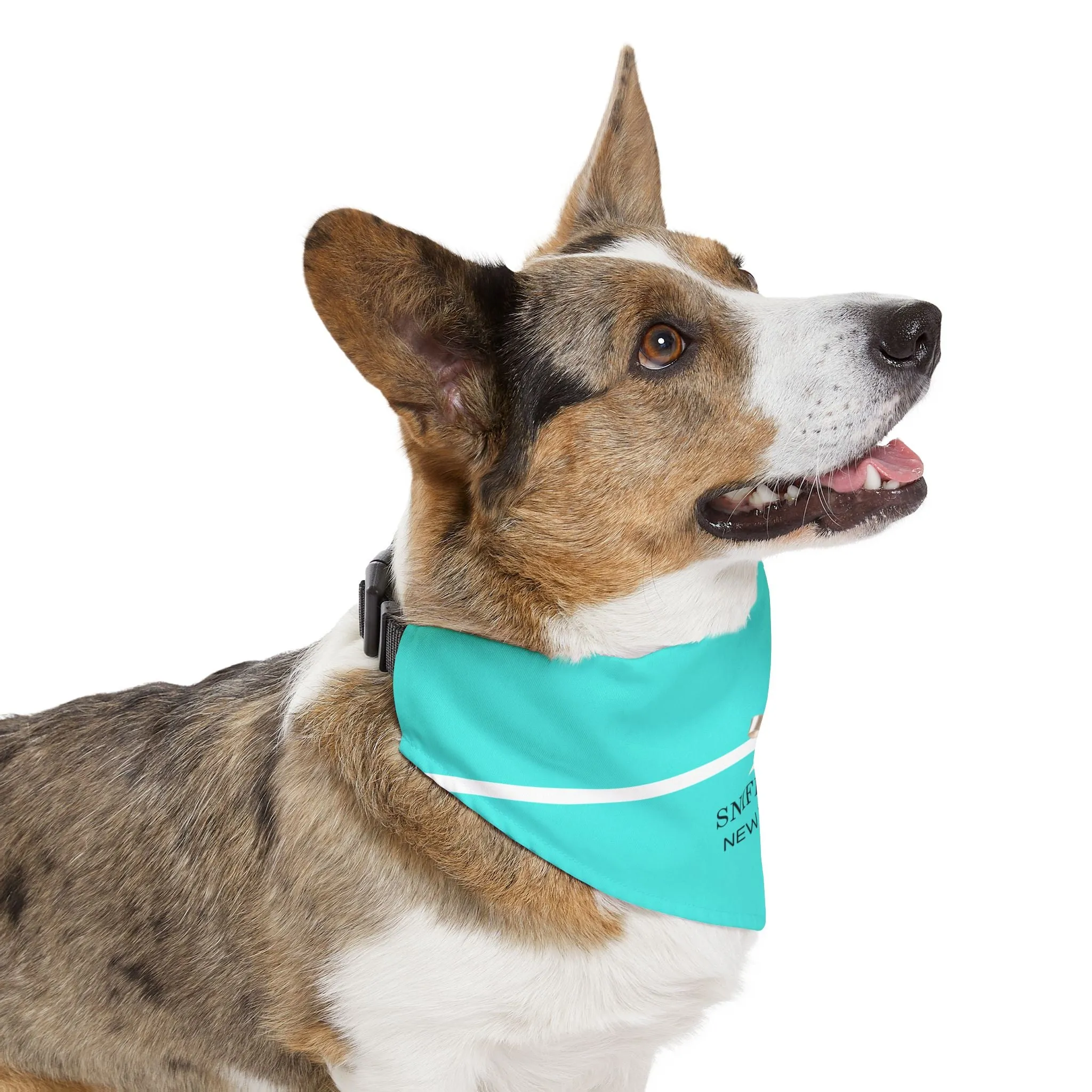 Sniffany's Faux-Designer Pet Bandana Collar