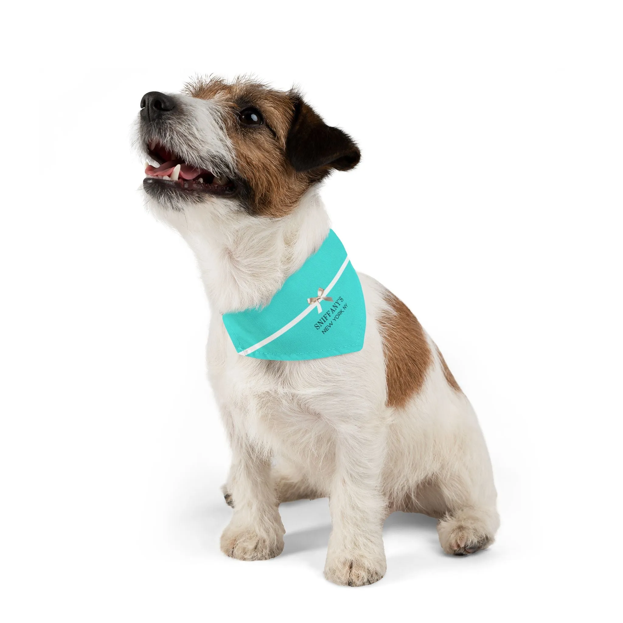 Sniffany's Faux-Designer Pet Bandana Collar