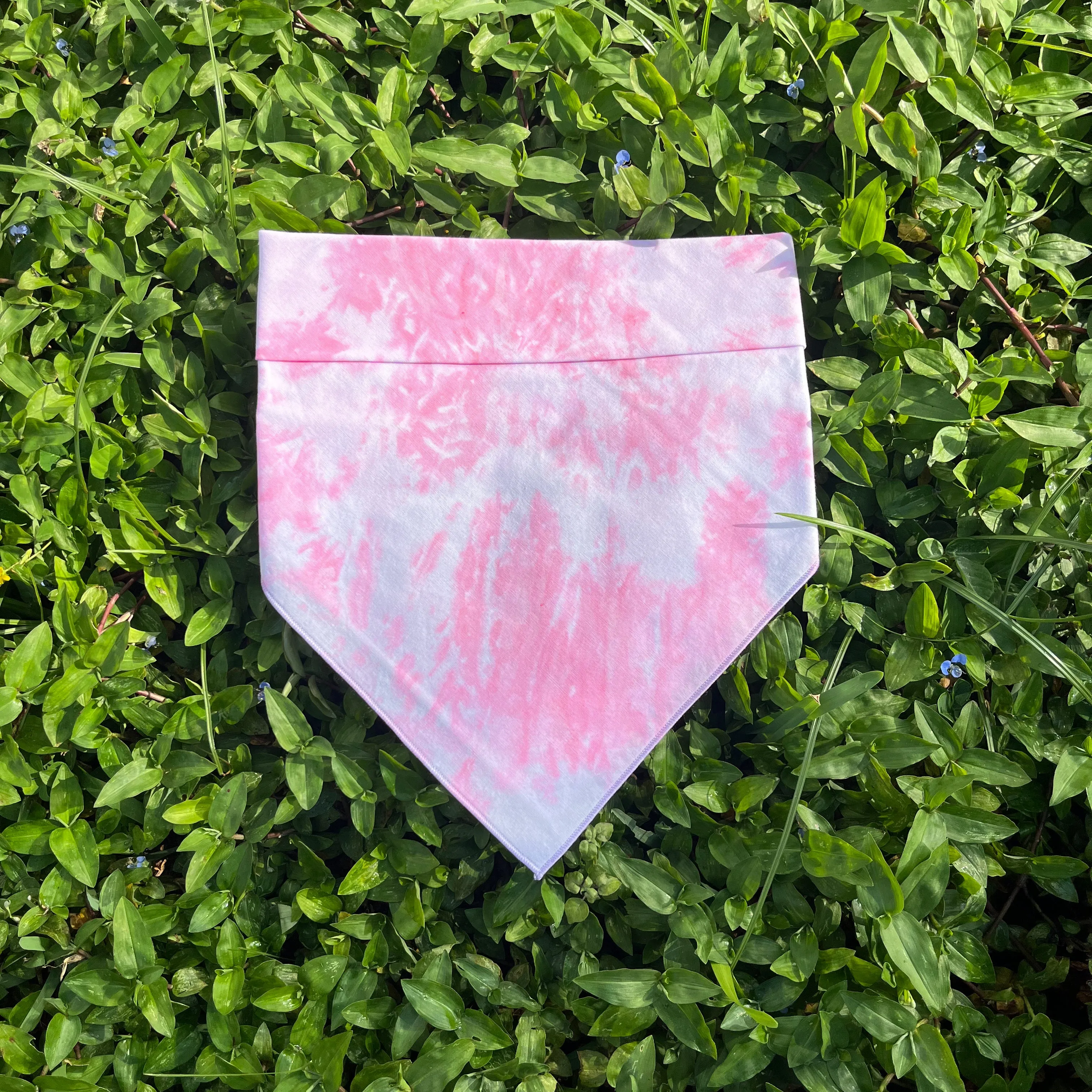 Spring 5 M