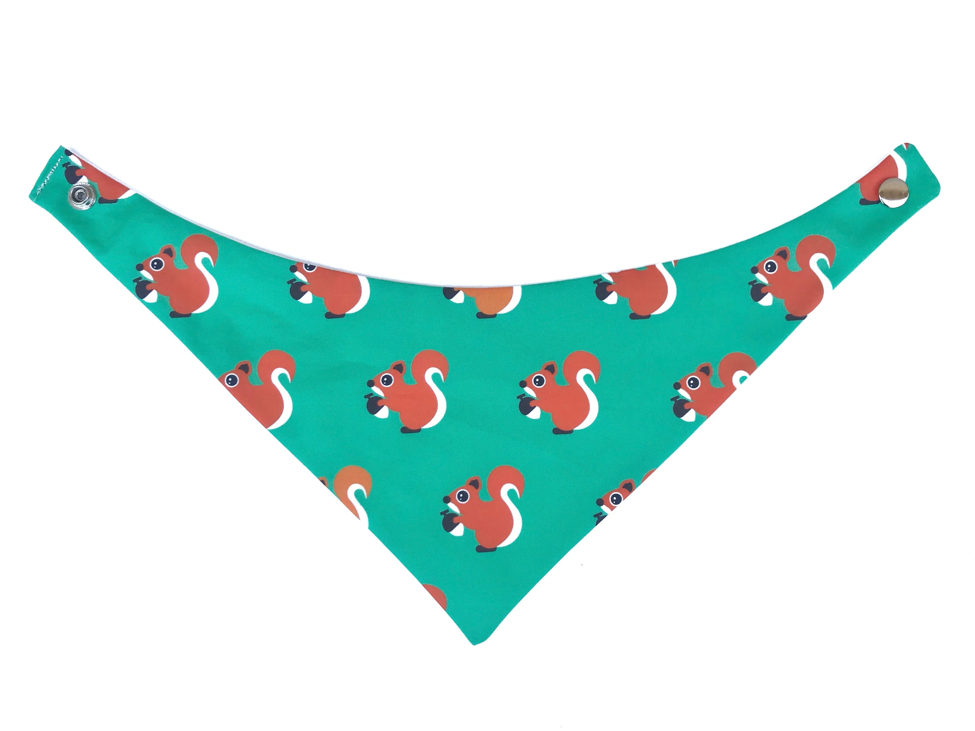Squirrels