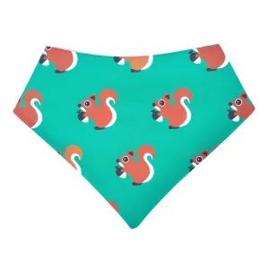 Squirrels