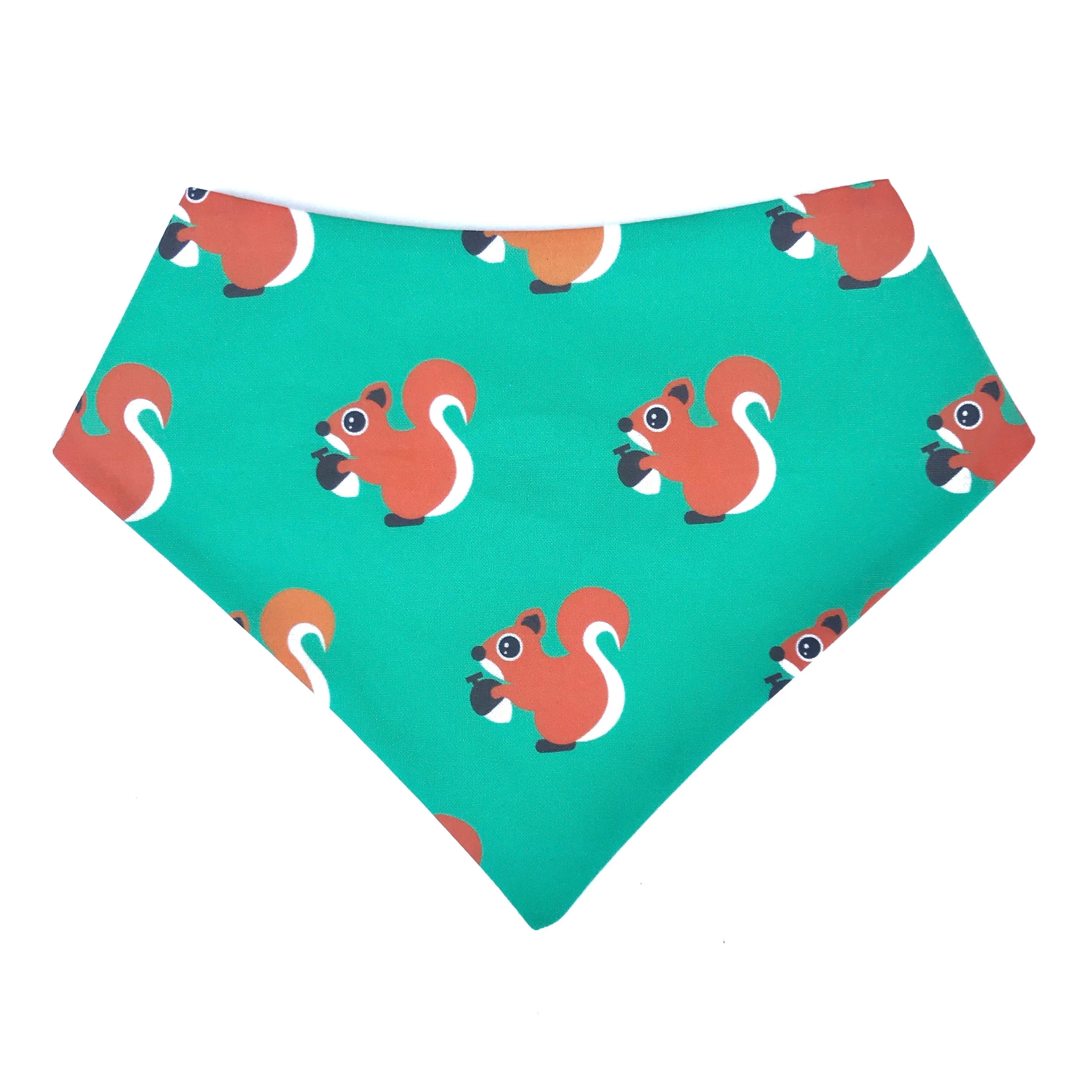 Squirrels