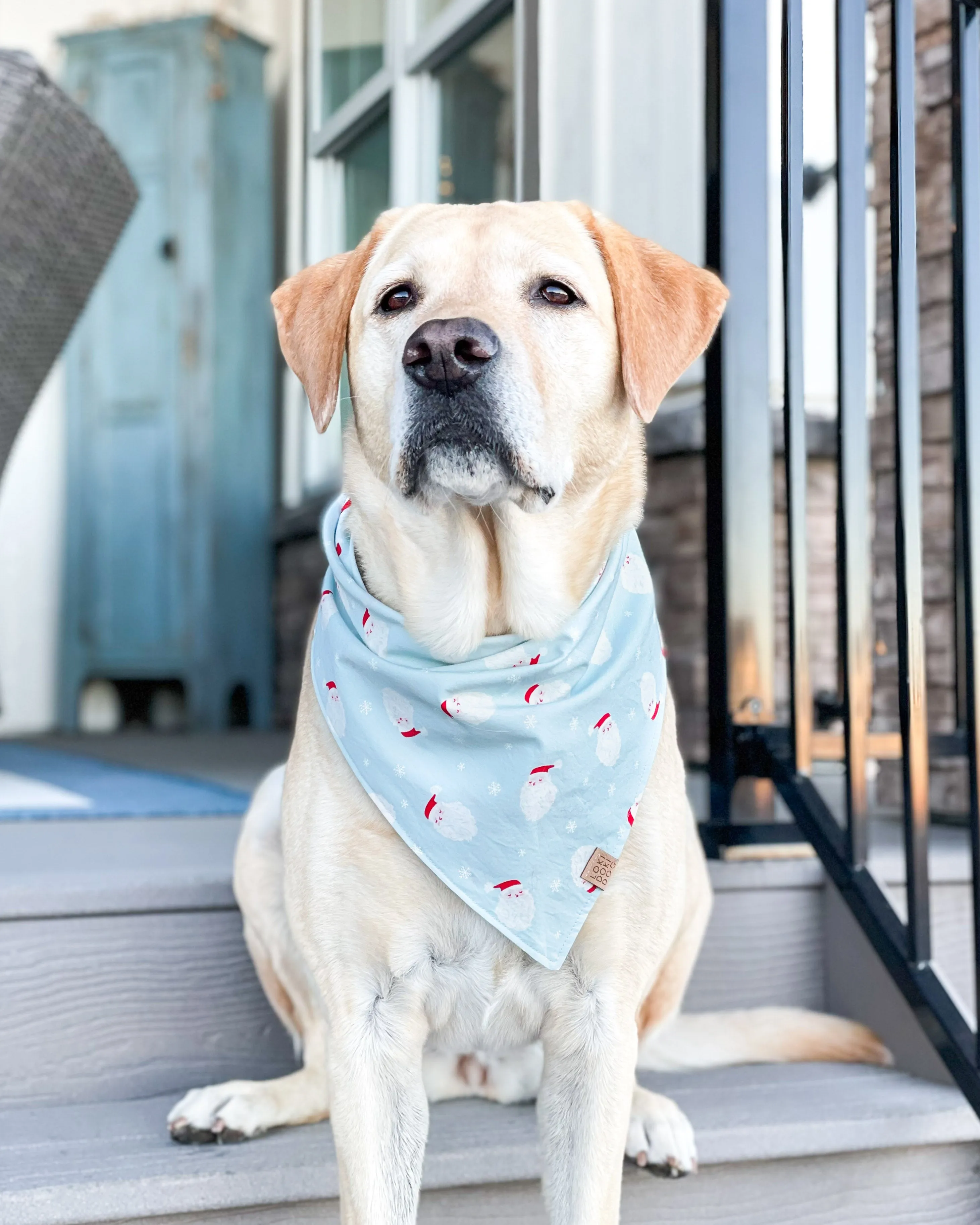 St. Nicholas Dog Bandana