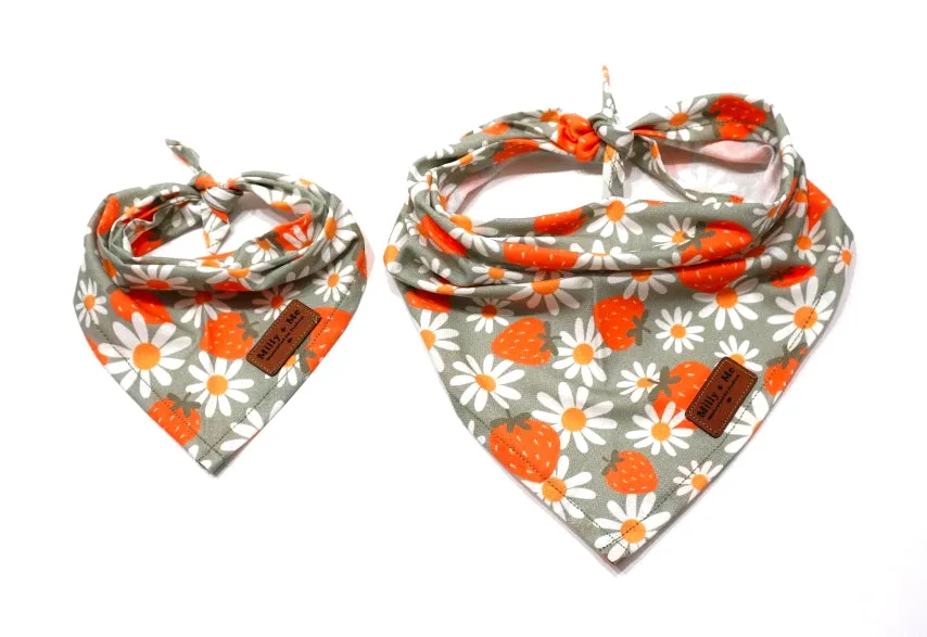 Strawberries & Daisies Sage - Pet Bandana