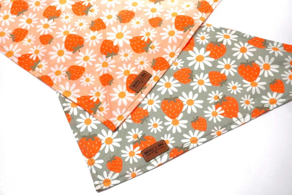 Strawberries & Daisies Sage - Pet Bandana