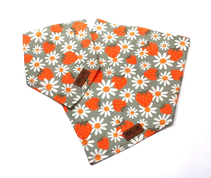 Strawberries & Daisies Sage - Pet Bandana