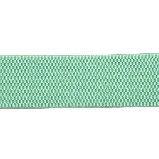 Stretch Band Belt Light Aqua