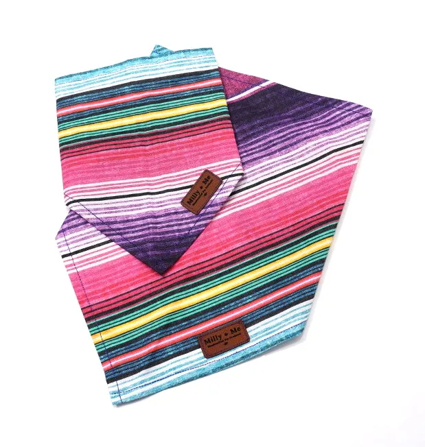 Stripes Pink Purple Teal - Pet Bandana