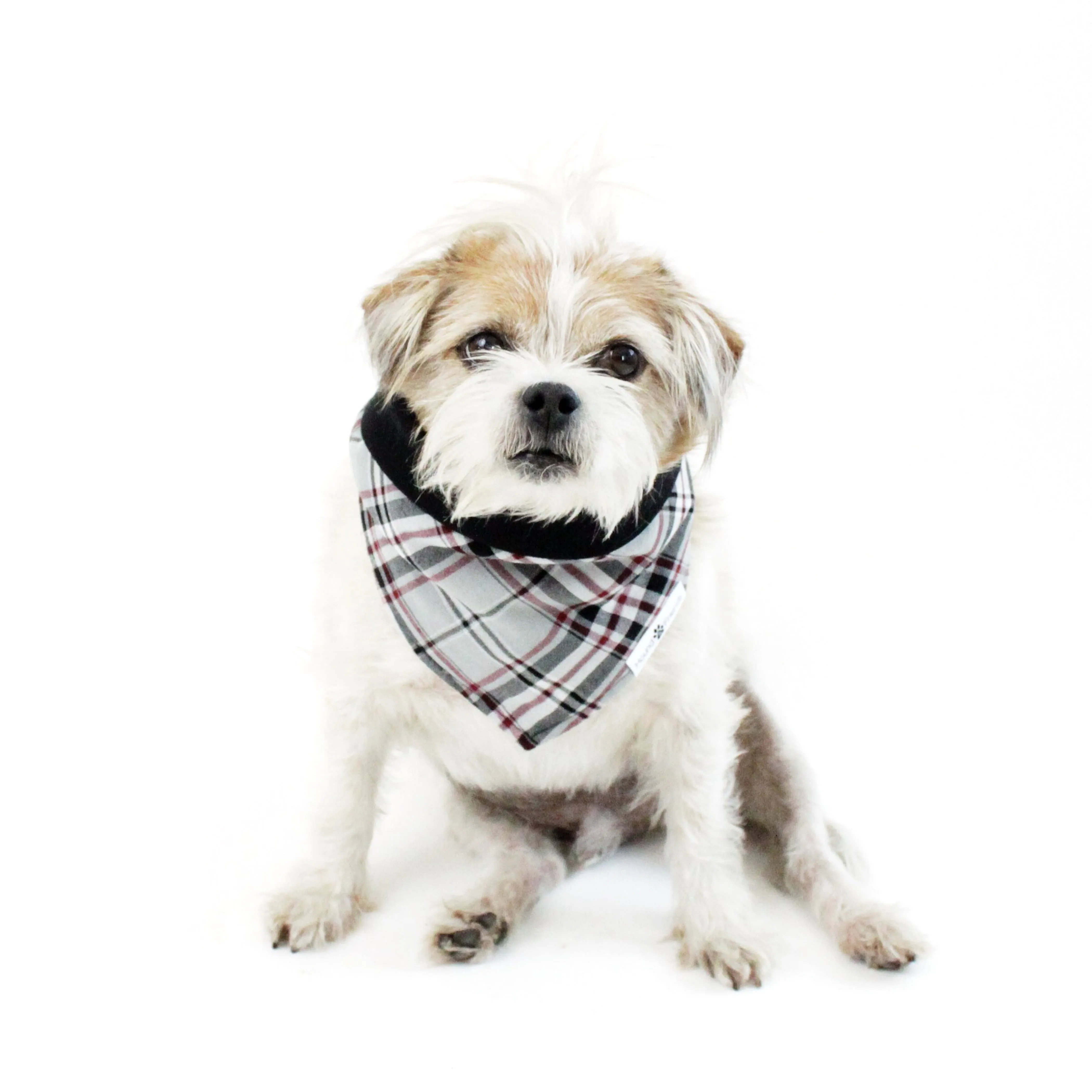 Stripes/Plaids Bandana Bundles