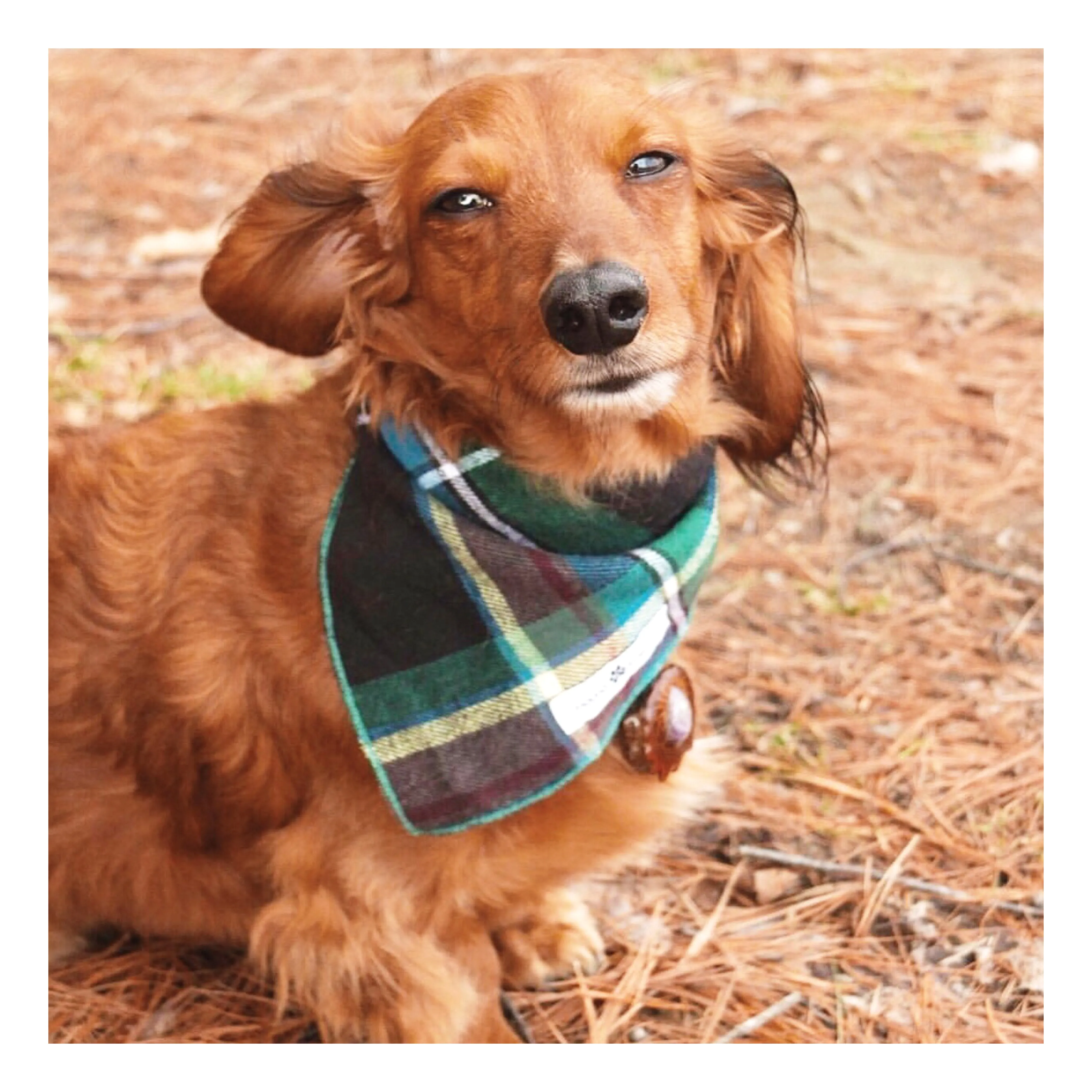 Stripes/Plaids Bandana Bundles