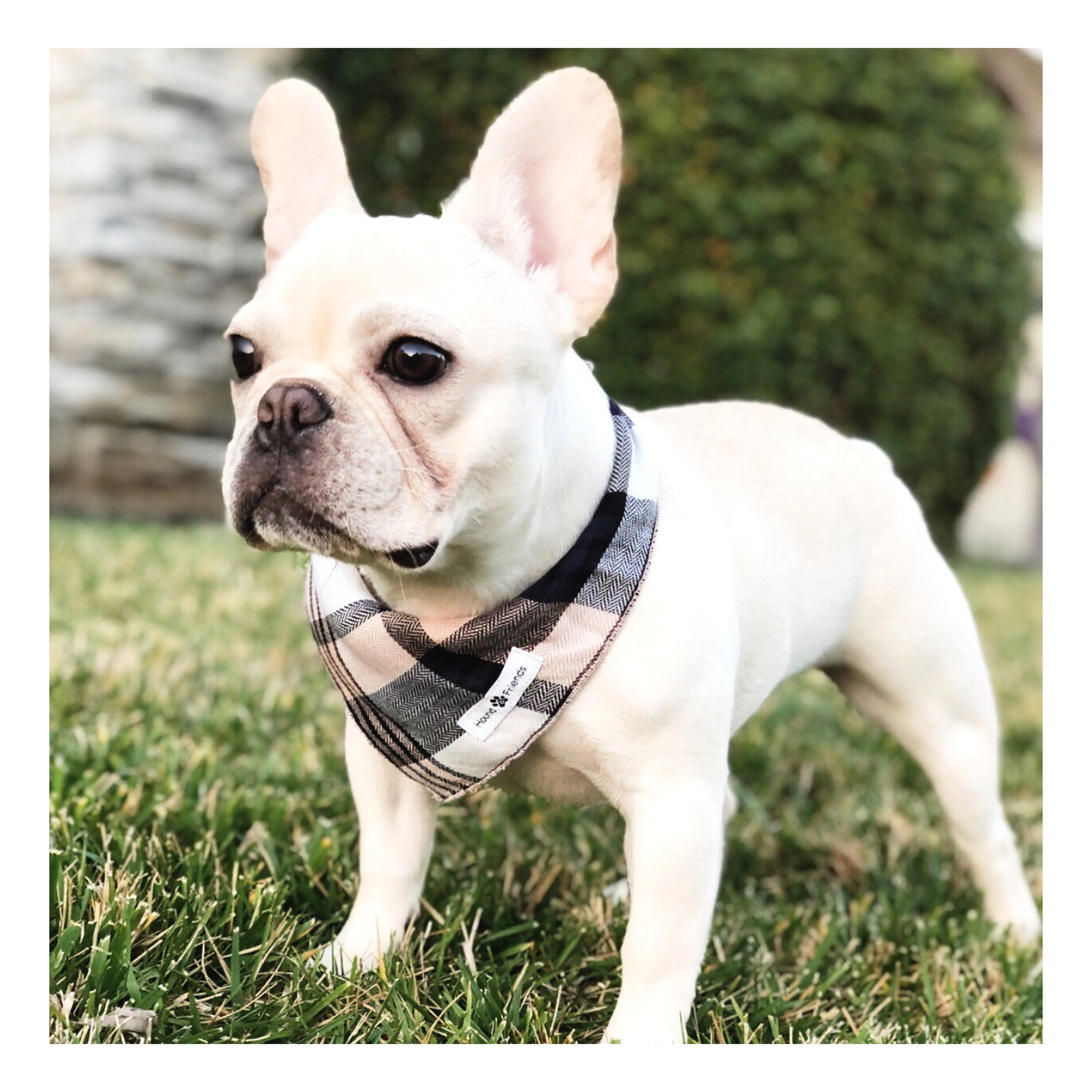 Stripes/Plaids Bandana Bundles