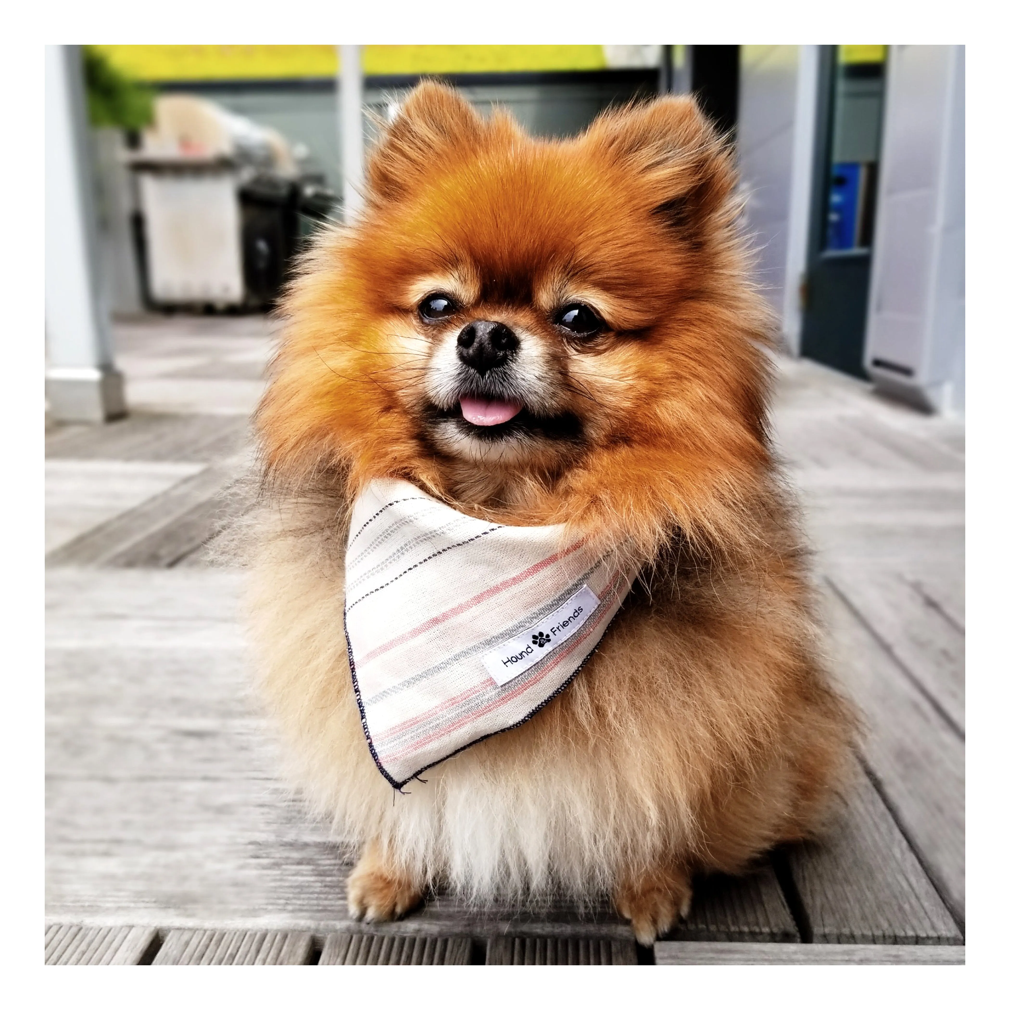 Stripes/Plaids Bandana Bundles