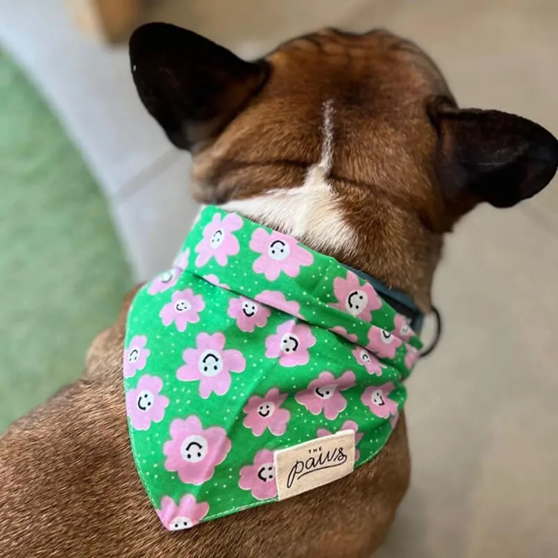 The Paws Bandana - Ziggy