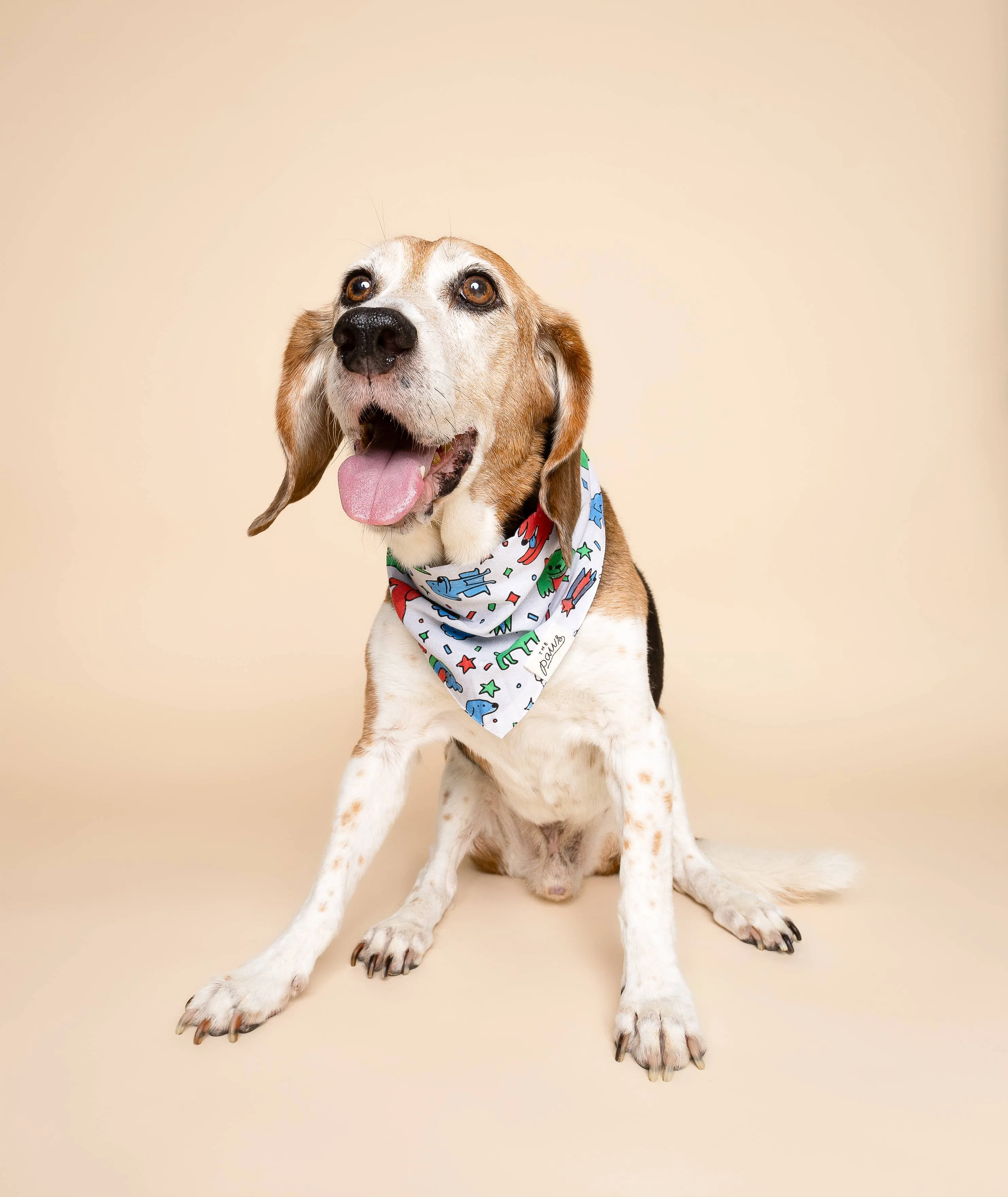 The Paws - Coloring Bandana for Kids and Adults 