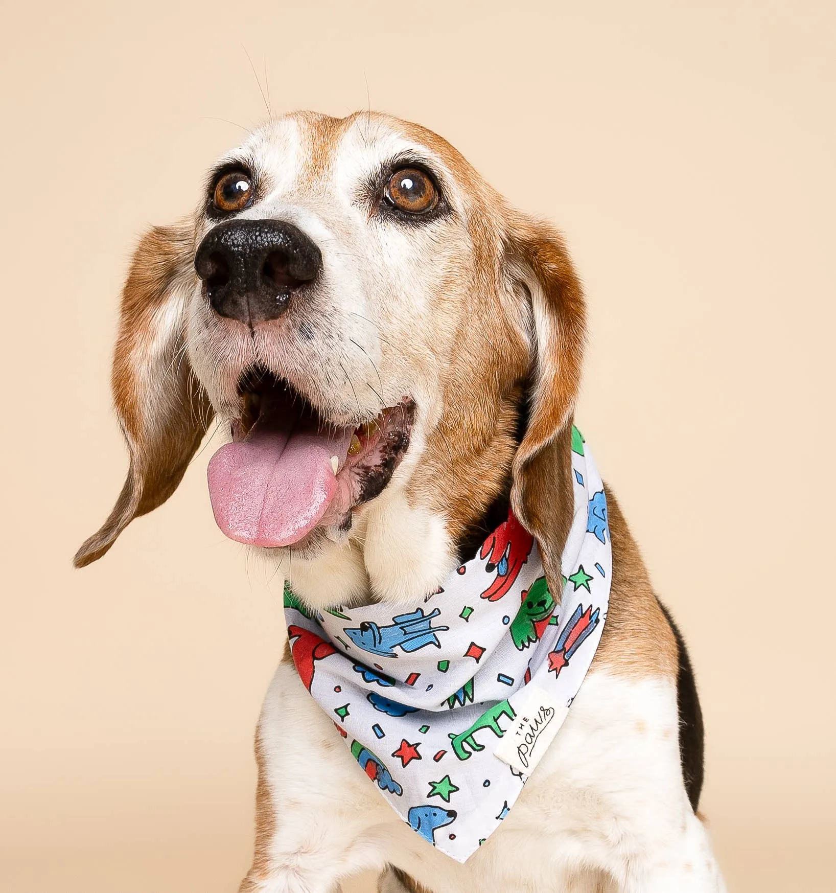 The Paws - Coloring Bandana for Kids and Adults 