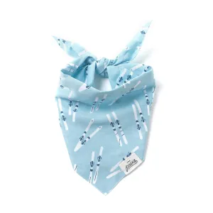 The Paws - Ski Winter Dog Bandana