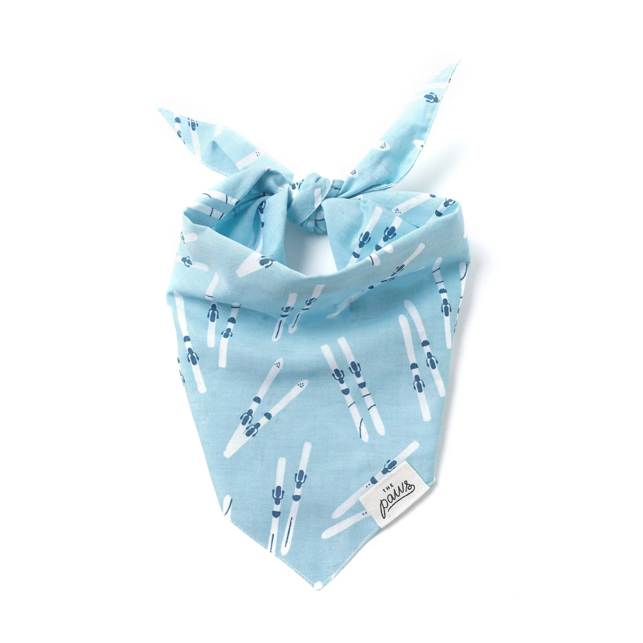 The Paws - Ski Winter Dog Bandana