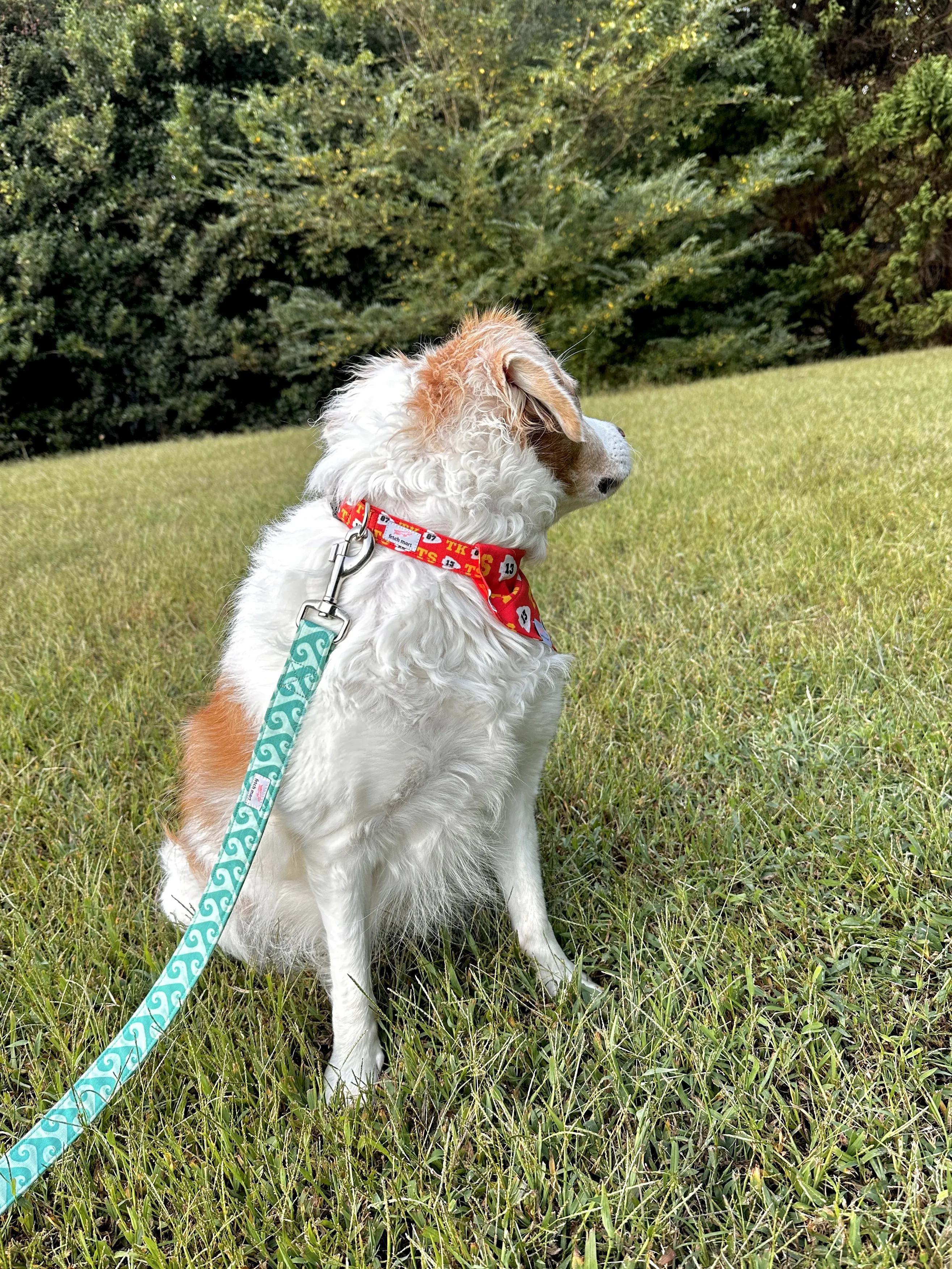Travis Era (Fetch Mart’s Version) Collar