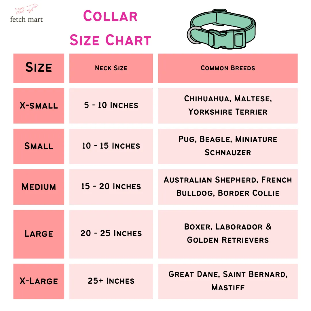 Travis Era (Fetch Mart’s Version) Collar