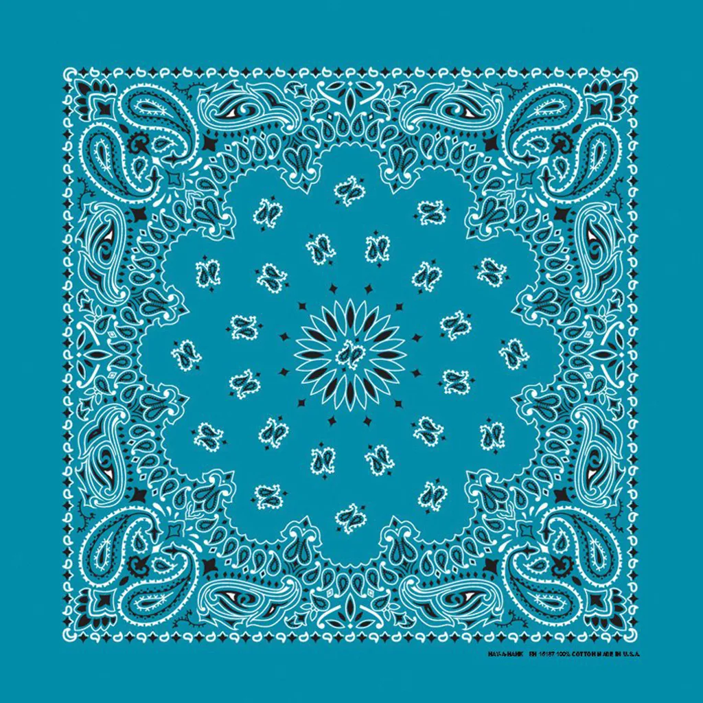 Turquoise Paisley Bandana