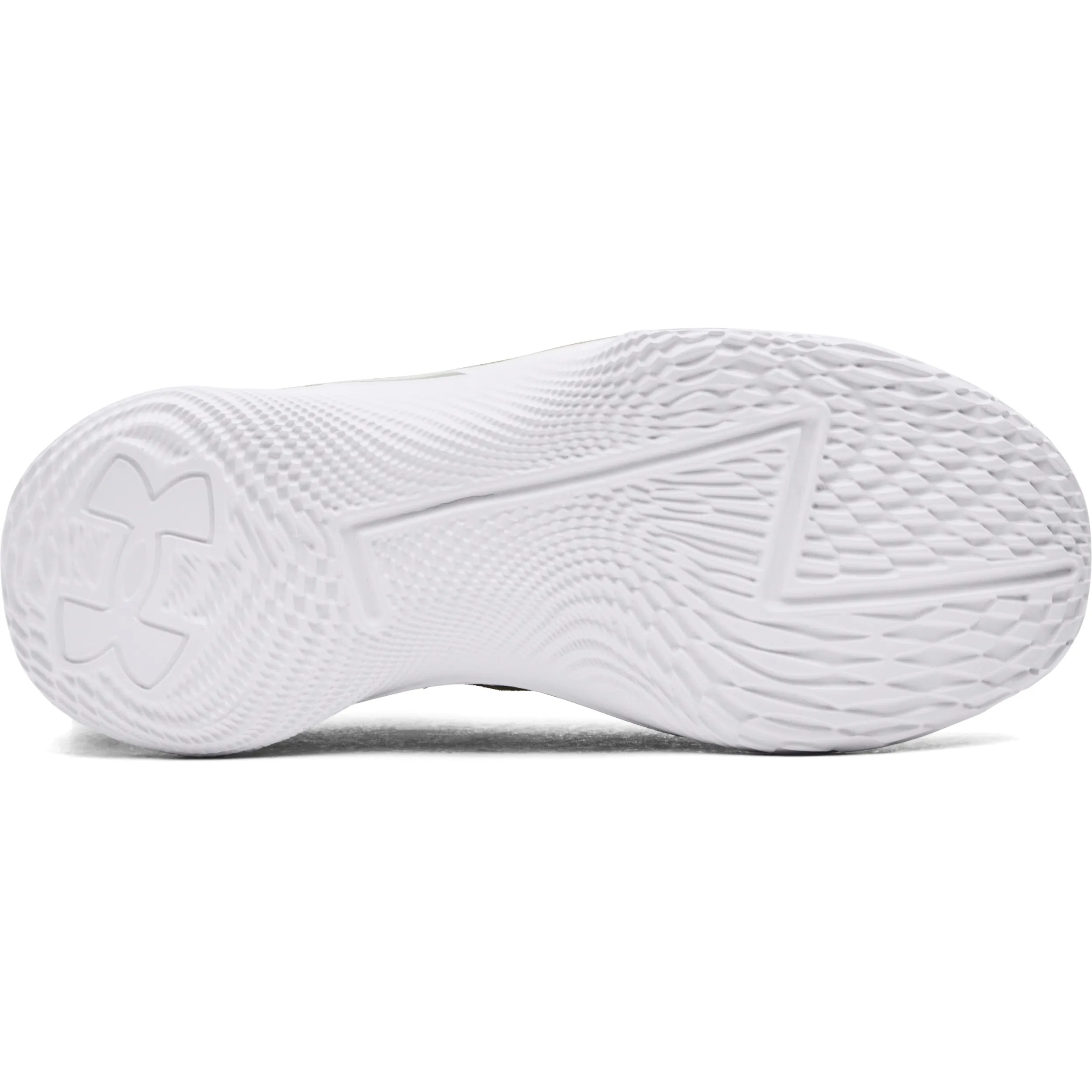Under Armour Curry 1  Low Flotro Lux Bruce Lee 'Earth' | 3027603-300