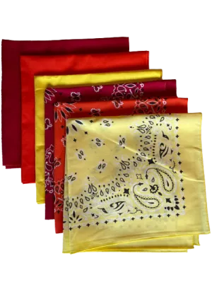 USA Made Paisley & Solid Yellow Orange Red 6 PK 22" 100% Cotton