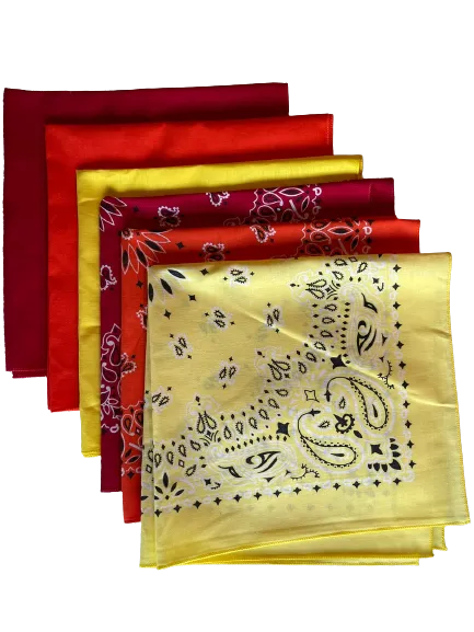 USA Made Paisley & Solid Yellow Orange Red 6 PK 22" 100% Cotton