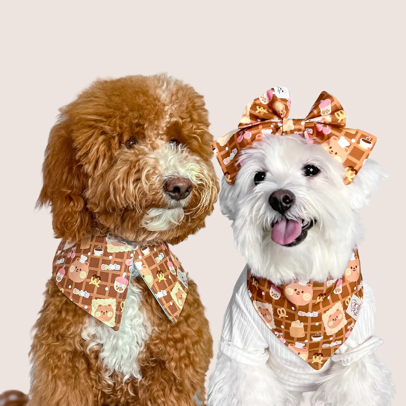 Why Knot? Bandana